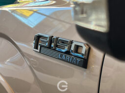 FORD F-150 FX4 LARIAT 2019