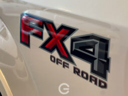 FORD F-150 FX4 LARIAT 2019
