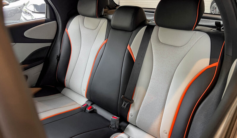 BYD DOLPHIN EV 2024 lleno