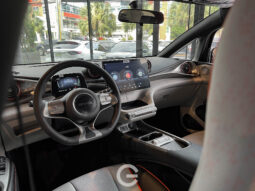 BYD DOLPHIN EV 2024 lleno