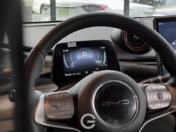 BYD DOLPHIN EV 2024 lleno