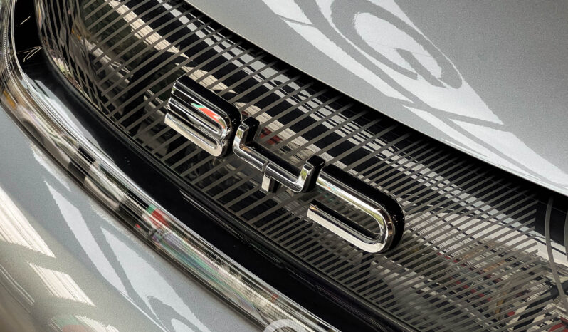 BYD DOLPHIN EV 2024 lleno