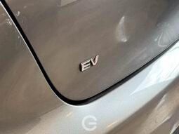 BYD DOLPHIN EV 2024 lleno
