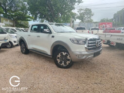 Great Wall Poer 2024