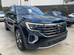 VOLKSWAGEN TERAMONT 2024