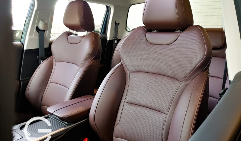 Riddara RD6 Pro 2024 lleno