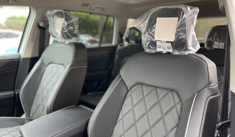 VOLKSWAGEN TERAMONT 2024 lleno