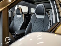 Geely Starray GK 2026 lleno
