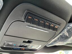 FORD F-150 RAPTOR 2025 lleno