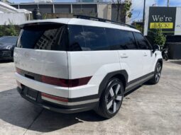 HYUNDAI SANTA FE 2024 lleno