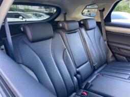 BYD TANG EV FLYER GS lleno