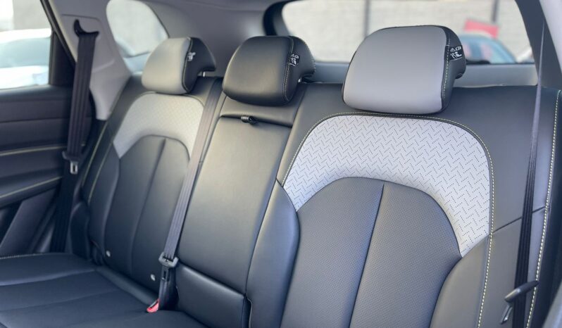 MG RX5 PERFORMANCE lleno