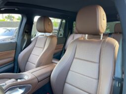 MERCEDES-BENZ CLASE 450 AGM-LINE 2025 lleno