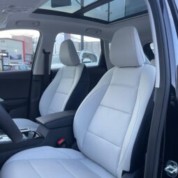 MG ZS 2026 lleno