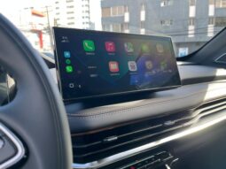GEELY OKAVANGO GF 2026 lleno
