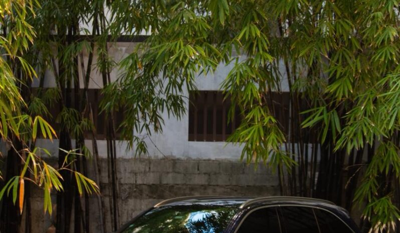 Mercedes-Benz Clase GLC 300 2019 lleno