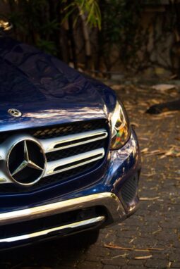 Mercedes-Benz Clase GLC 300 2019