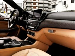 MERCEDES-BENZ CLASE GLS 350D 2018 lleno