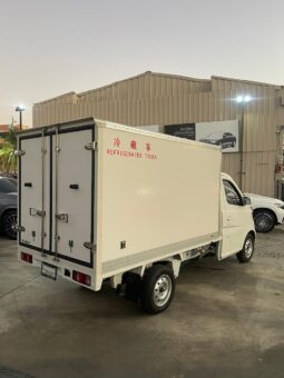 Changan Star 5 Refrigerada lleno