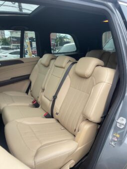 MERCEDES-BENZ CLASE GLS 350D 2018 lleno