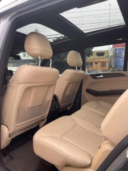 MERCEDES-BENZ CLASE GLS 350D 2018 lleno
