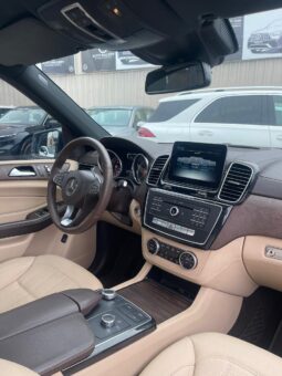 MERCEDES-BENZ CLASE GLS 350D 2018 lleno