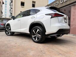 LEXUS NX300 2021 lleno