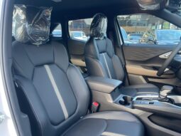 Mitsubishi Outlander P-Line 2027 lleno