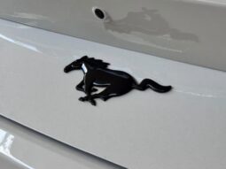 FORD MUSTANG ECOBOOST 2024 lleno